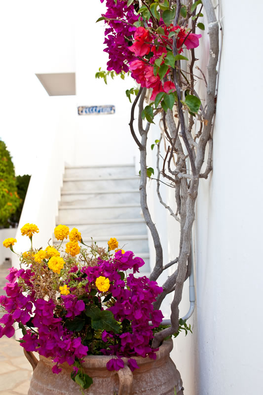 Villa Annamaria Aliki Paros Photos33