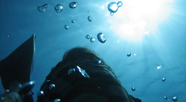 Diving & Snorkeling