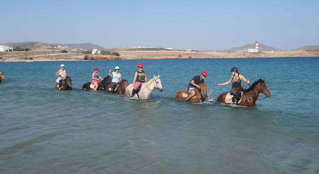 Horse Riding