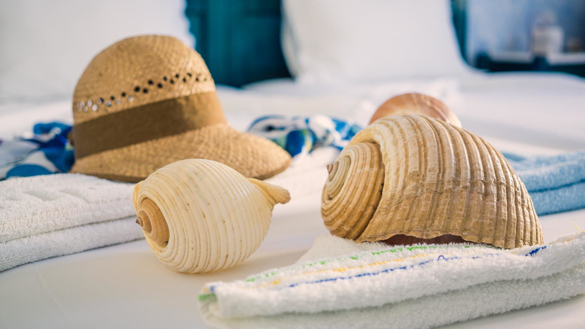 Experience our Warm Ηospitality